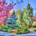 This Little-Known Colorado National Park Town Has North America’s Highest Concentration Of Archaeological Sites – TheTravel