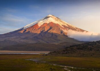 Ecuador Has Turned From One of Latin America’s Safest Countries Into a Narco-State In Just Five Years – Latin Times
