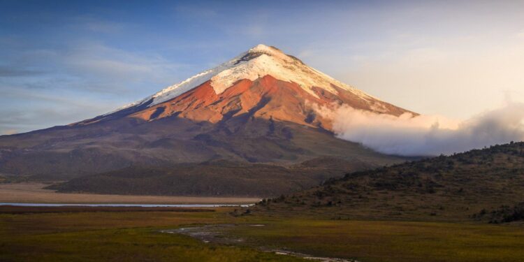 Ecuador Has Turned From One of Latin America’s Safest Countries Into a Narco-State In Just Five Years – Latin Times