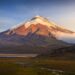 Ecuador Has Turned From One of Latin America’s Safest Countries Into a Narco-State In Just Five Years – Latin Times