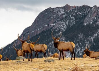 Colorado’s Million Dollar Highway Is One of the Most Scenic Roads in the U.S. – Travel + Leisure
