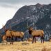 Colorado’s Million Dollar Highway Is One of the Most Scenic Roads in the U.S. – Travel + Leisure