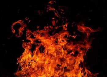 After the Los Angeles Fires, Reexamining the Wildfire Crisis in the United States – Resources Magazine