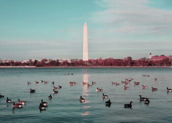 President Noboa: Another Trump Ally in Latin America – Jacobin