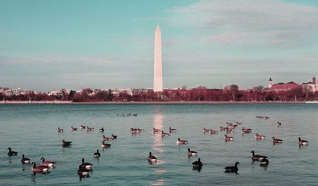 President Noboa: Another Trump Ally in Latin America – Jacobin