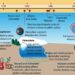 The climate science behind the California wildfires – Red Cross Climate Centre