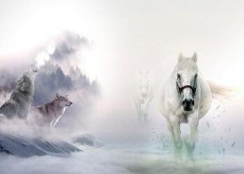 Colorado U.S. Rep. Lauren Boebert leads effort to remove federal protections from gray wolves – AspenTimes.com