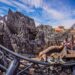 The top 17 theme parks in North America – Blooloop