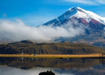 ‘Ecuador’s Bukele’ Is His Own Man – The American Conservative