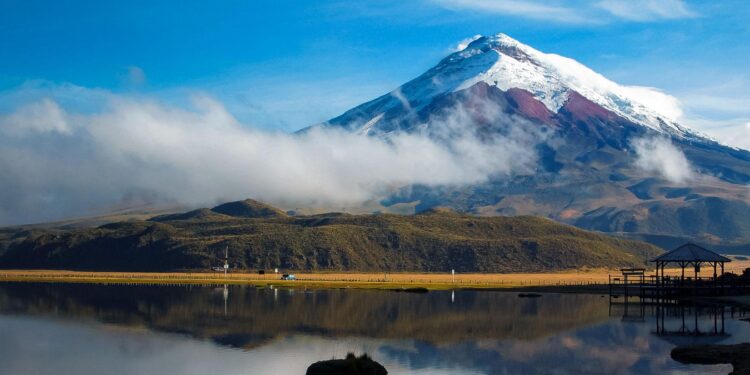 ‘Ecuador’s Bukele’ Is His Own Man – The American Conservative