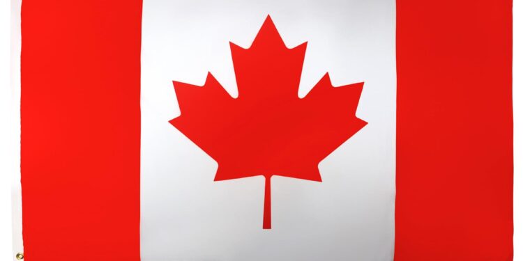 Canada and Mexico Are Sending Teams to Help California Fight the Fires – The New York Times