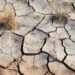 ‘Everything is expensive!’ Bolivia faces a shocking economic collapse – VOA – Voice of America English News