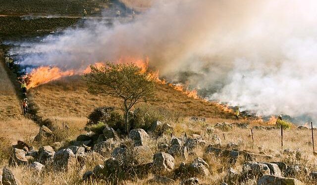 2020 North American Wildfire Season – Center for Disaster Philanthropy