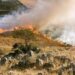 2020 North American Wildfire Season – Center for Disaster Philanthropy