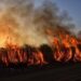 California fire highlights: NFL-League donates $5 million to support Los Angeles wildfire relief – Hindustan Times