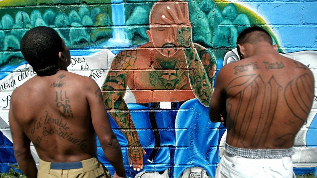 MS13 – InSight Crime
