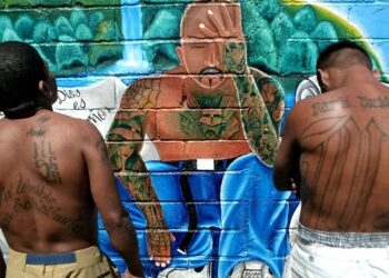 MS13 – InSight Crime