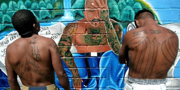 MS13 – InSight Crime