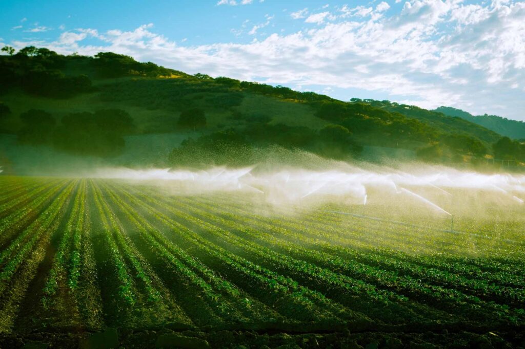 How California Feeds the United States: Agriculture has Shaped the State and as a Result, the Country – California Local