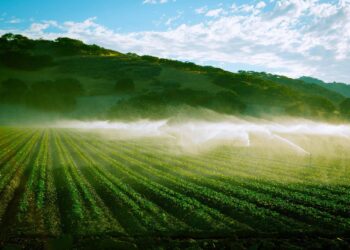 How California Feeds the United States: Agriculture has Shaped the State and as a Result, the Country – California Local