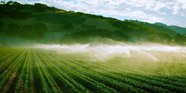 How California Feeds the United States: Agriculture has Shaped the State and as a Result, the Country – California Local