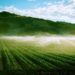 How California Feeds the United States: Agriculture has Shaped the State and as a Result, the Country – California Local