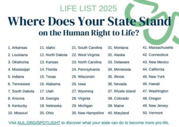 Arkansas hailed as ‘Most Pro-Life State in America’ | U.S. – Christian Post