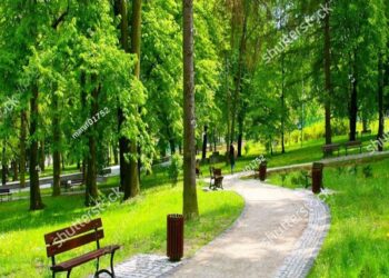15 Beautiful Parks To See Fall Colors In The Bay Area, California – Culture Trip