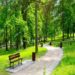 15 Beautiful Parks To See Fall Colors In The Bay Area, California – Culture Trip