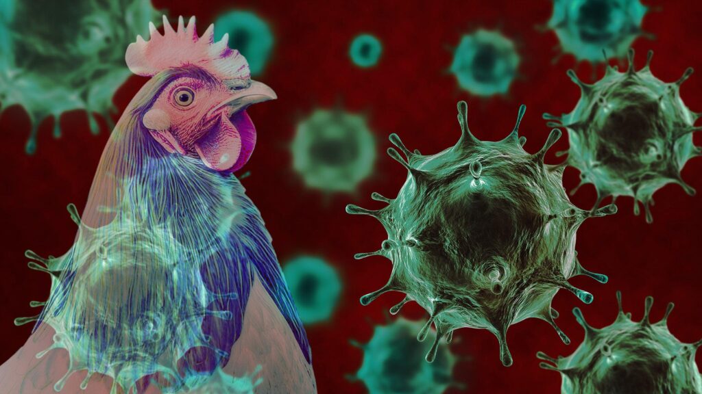 California Declares Emergency as US Faces First Severe Human Case of Bird Flu