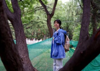 US to Begin Revoking Visas for Chinese Students in Major Policy Shift