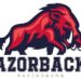 Three Razorbacks Earn Prestigious Preseason All-American Honors