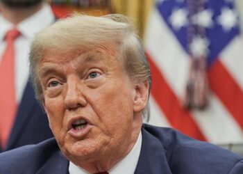 Trump Taps Palantir to Collect Vast Amounts of Data on Americans