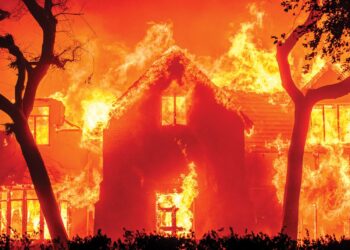 Why Are Wildfires Ravaging the American West Like Never Before?