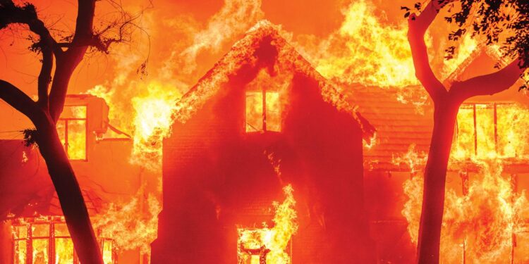 Why Are Wildfires Ravaging the American West Like Never Before?