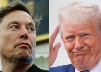 6 Major Challenges Musk’s New Political Party Faces and Must Overcome