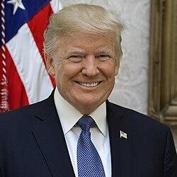 Inside President Trump’s Latest Approval Ratings: Surprising Insights from New Polls