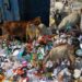 Discover the 10 Most Polluted Cities in America Today