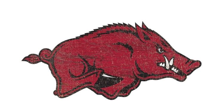 Razorbacks Secure Two-Time NFCA All-American Dakota Kennedy