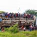 From Dust Bowl Despair to New Beginnings: The Inspiring Journey of America’s Migrants