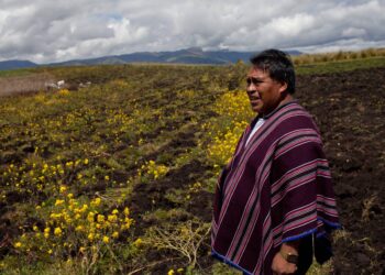 How Meeting a Woman Who Built Her Dream Life on an Ecuadorian Farm Transformed My View of the Future