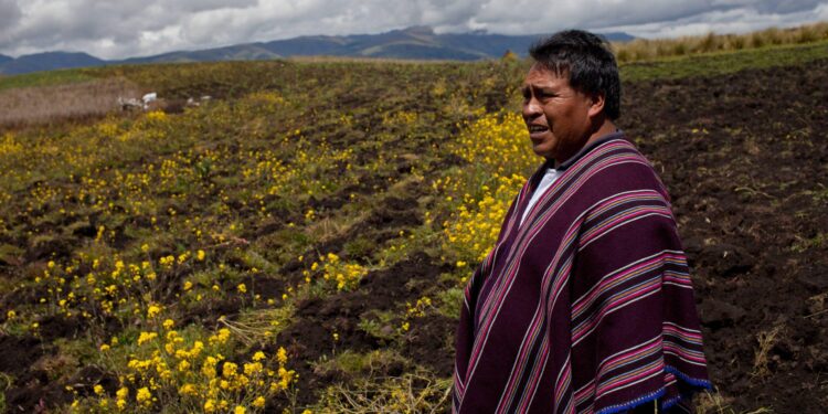 How Meeting a Woman Who Built Her Dream Life on an Ecuadorian Farm Transformed My View of the Future