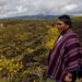 How Meeting a Woman Who Built Her Dream Life on an Ecuadorian Farm Transformed My View of the Future