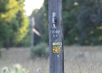 How Co-ops Are Powering the Pulse of Rural America