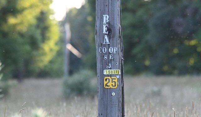 How Co-ops Are Powering the Pulse of Rural America
