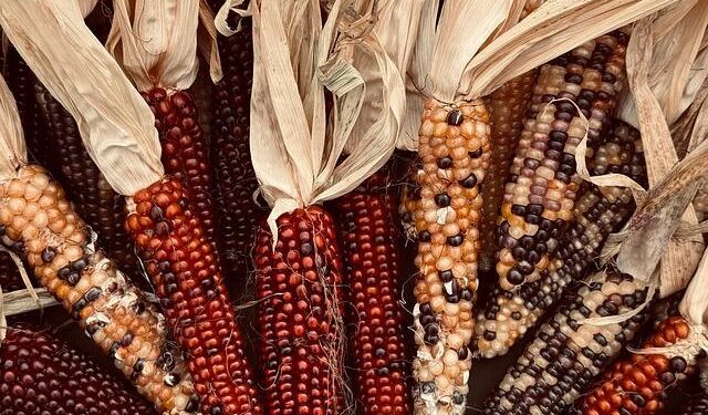 Uncovering the Surprising Origins of Thanksgiving: A Journey Back to George Washington