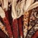 Uncovering the Surprising Origins of Thanksgiving: A Journey Back to George Washington