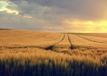 Flamenco Flourishes in New Mexico, Infusing the Southwest with Passion and Rhythm
