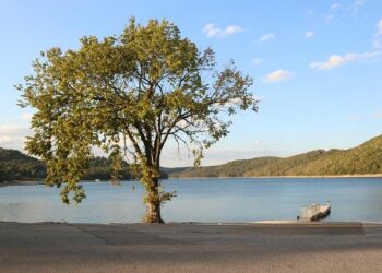 Arkansas Aims to Become the US Lithium Capital with Exciting New Accelerator Program