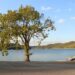 Arkansas Aims to Become the US Lithium Capital with Exciting New Accelerator Program
